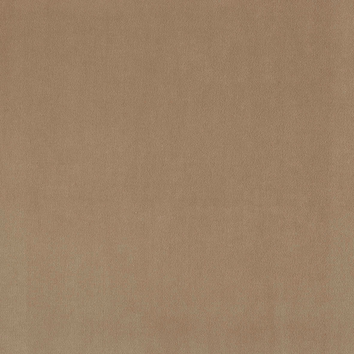 Charlie Bedhead - Plush fabric