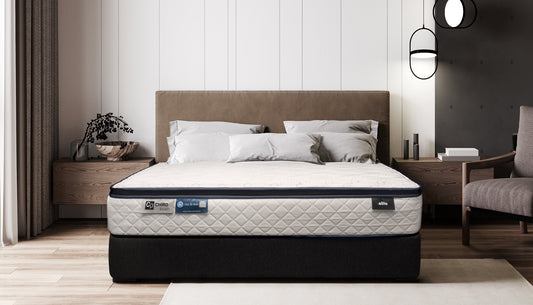 Chiro Plush Elite Mattress