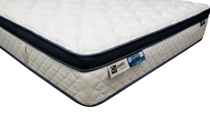 Chiro Plush Latex Mattress